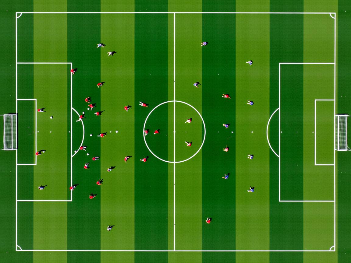 开云体育app入口-体育新闻中心协助地方体育局提升内容传播效果，体育新闻主要报道形式
