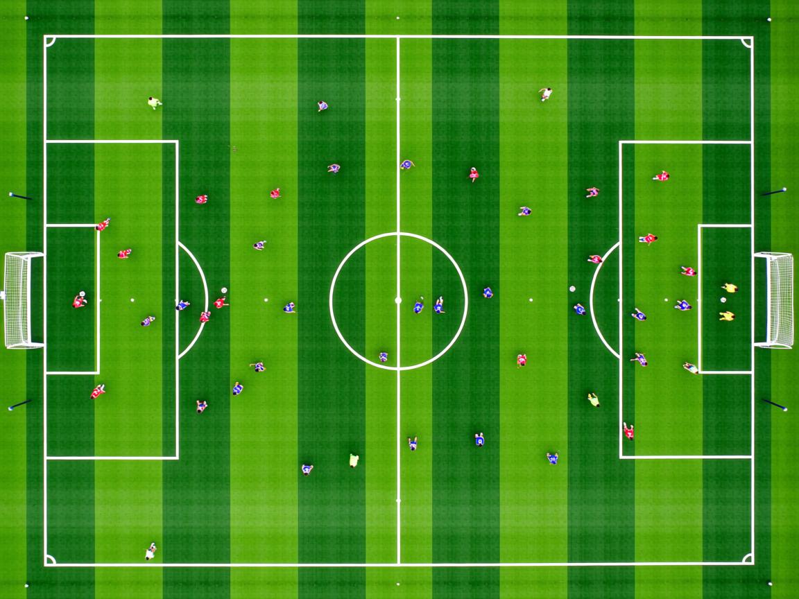 开云体育app注册-女子200蝶划频—配速协同变化趋势对比，女子两百米蝶泳决赛时间  第2张